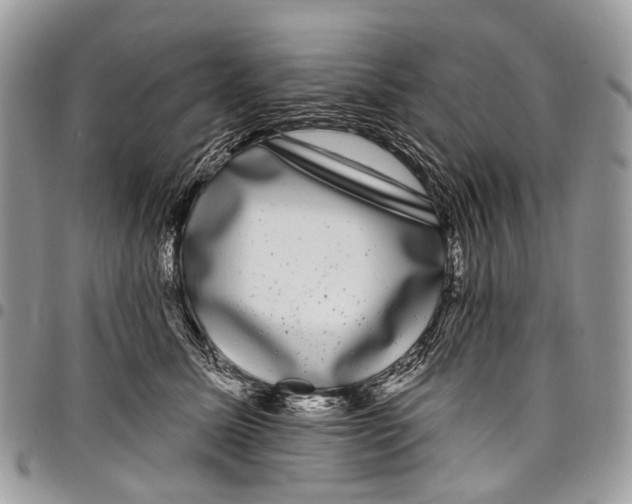 X0000097790611200803281724