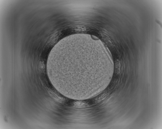 X0000097790614200803281724