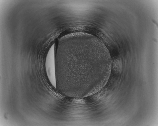 X0000097790617200803281724