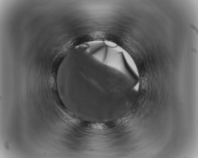 X0000097790618200803281724