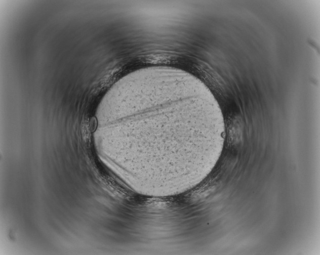 X0000097790620200803281724