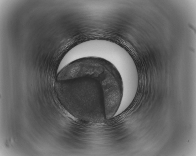 X0000097790621200803281724