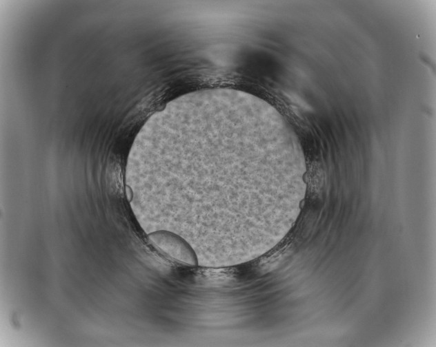 X0000097790622200803281724