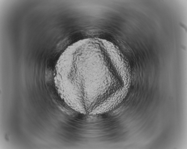 X0000097790623200803281724