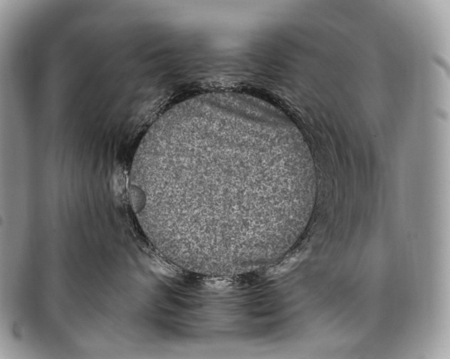 X0000097790624200803281724