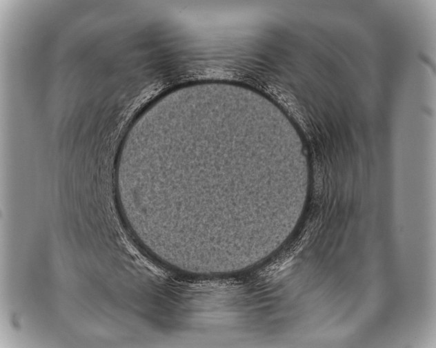 X0000097790625200803281724