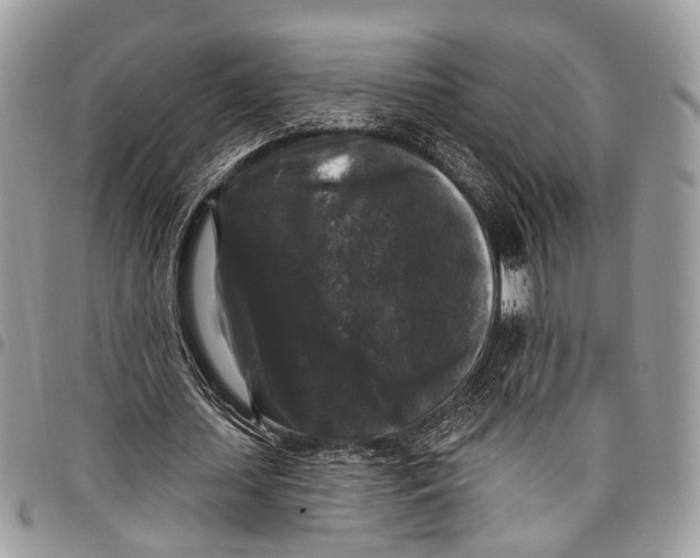 X0000097790627200803281724
