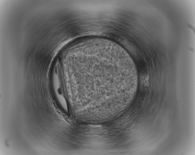 X0000097790628200803281724