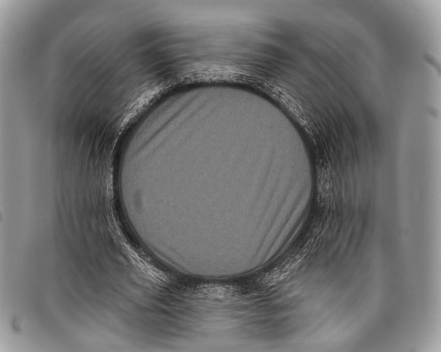 X0000097790629200803281724
