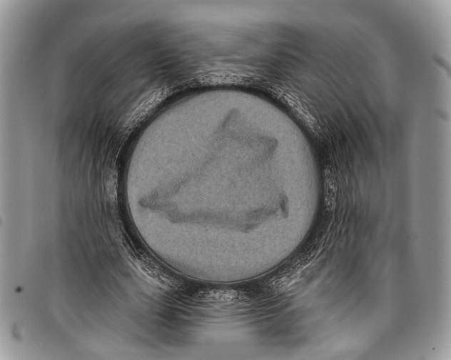 X0000097790631200803281724