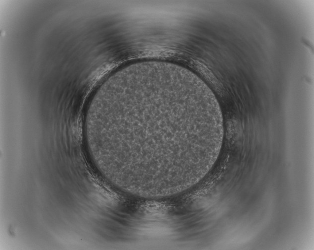 X0000097790632200803281724