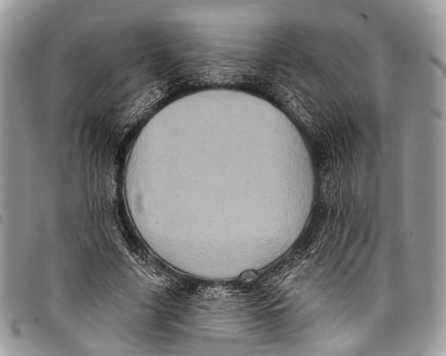 X0000097790635200803281724
