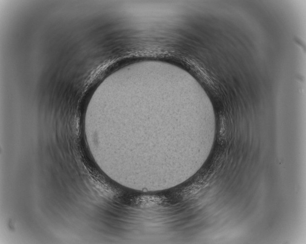 X0000097790636200803281724
