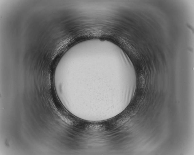 X0000097790638200803281724