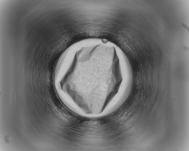 X0000097790639200803281724