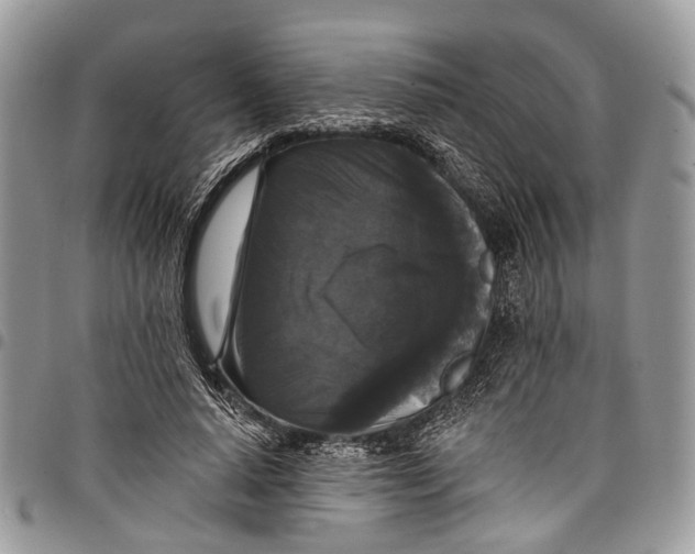 X0000097790640200803281724