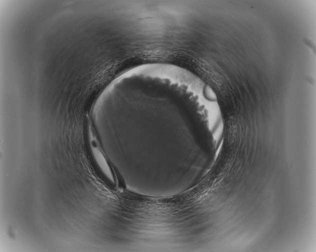 X0000097790641200803281724