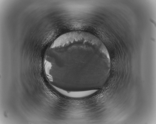 X0000097790642200803281724
