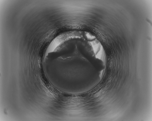X0000097790643200803281724