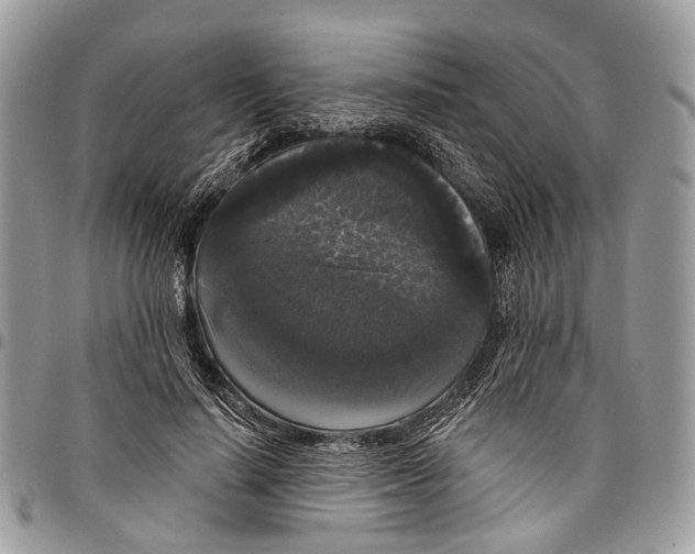 X0000097790644200803281724