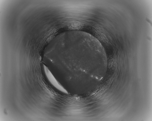 X0000097790647200803281724