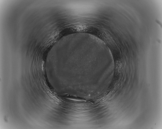 X0000097790650200803281724