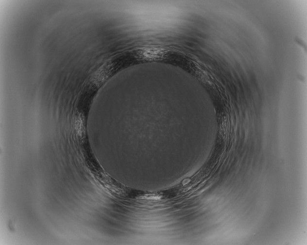 X0000097790651200803281724