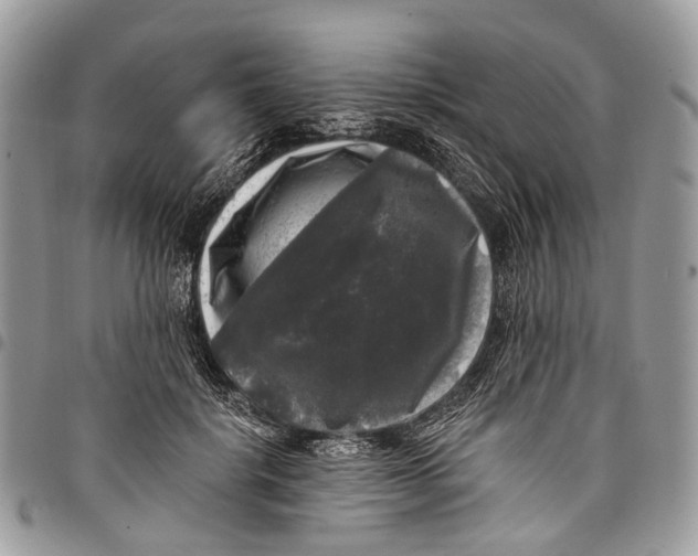 X0000097790652200803281724