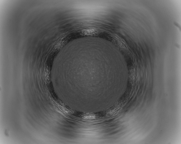X0000097790653200803281724