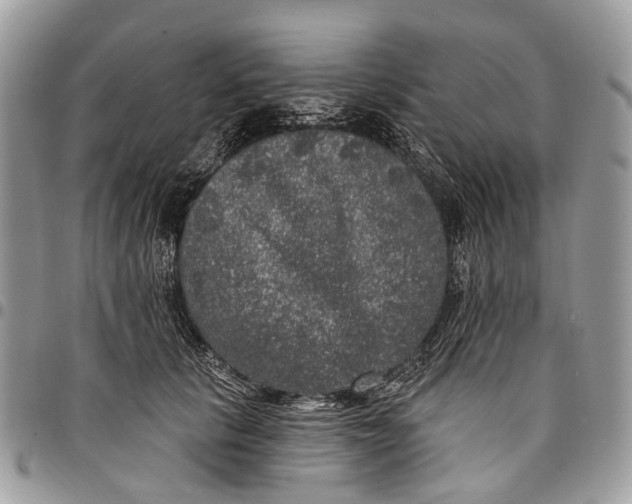 X0000097790657200803281724