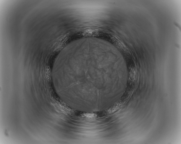 X0000097790659200803281724