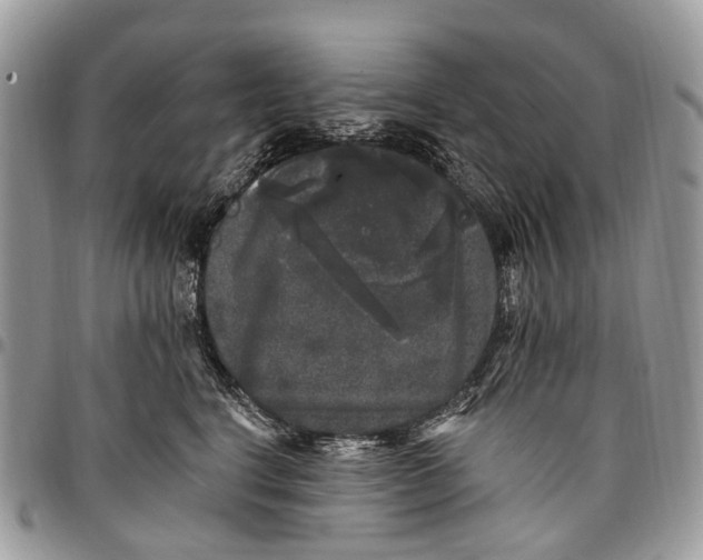X0000097790664200803281724