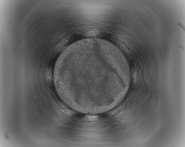 X0000097790665200803281724