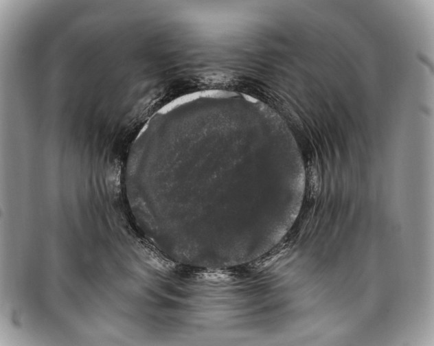 X0000097790668200803281724