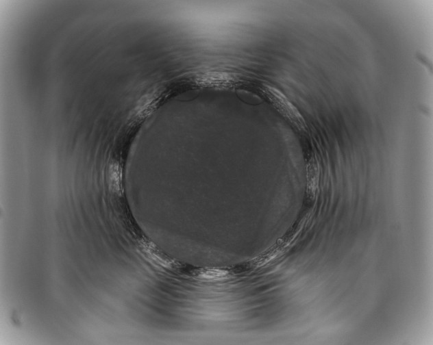 X0000097790669200803281724