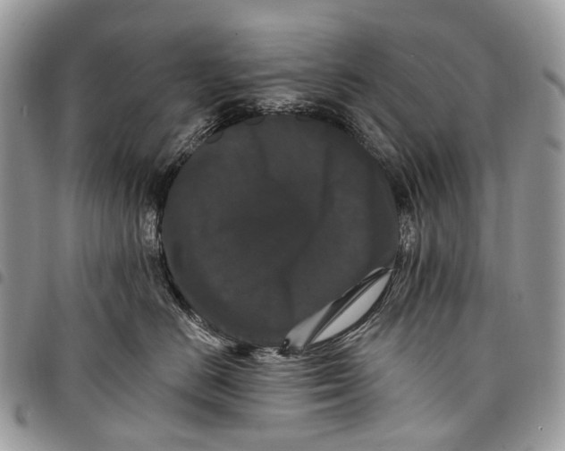 X0000097790670200803281724