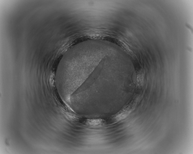 X0000097790671200803281724