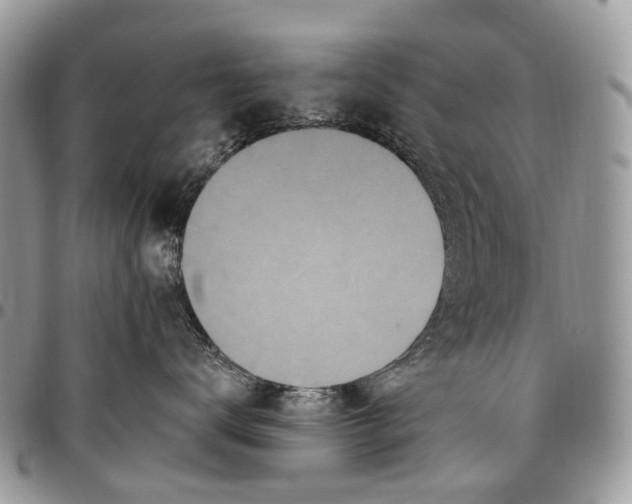 X0000097790672200803281724