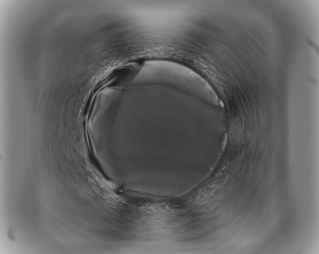 X0000097790673200803281724