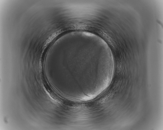 X0000097790674200803281724