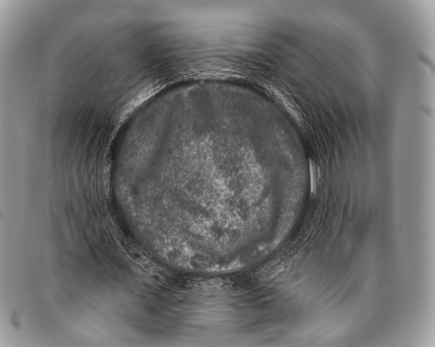 X0000097790675200803281724