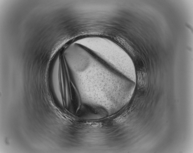 X0000097790676200803281724
