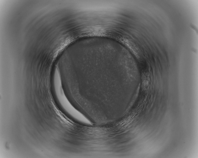 X0000097790677200803281724