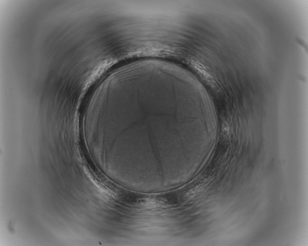 X0000097790678200803281724