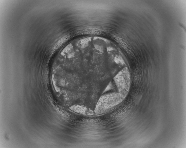 X0000097790679200803281724