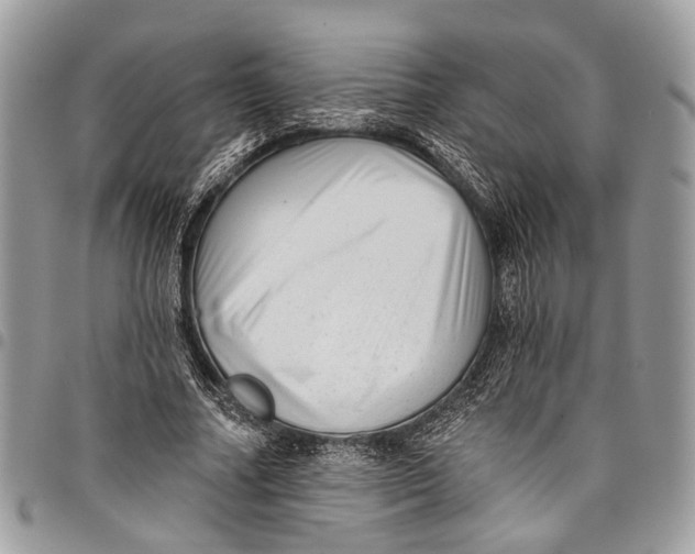 X0000097790682200803281724