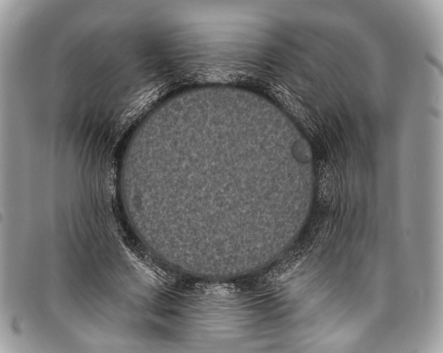 X0000097790683200803281723