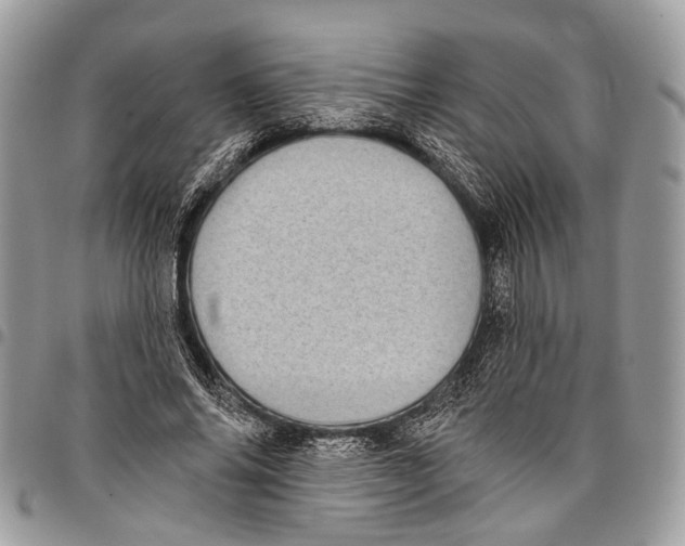 X0000097790686200803281723