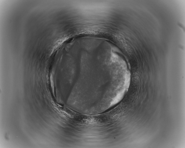X0000097790688200803281723