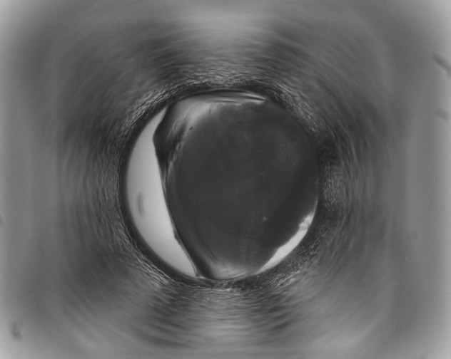X0000097790689200803281723